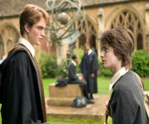 Puzzle Ο Χάρι Πότερ και ο φίλος του Cedric Diggory